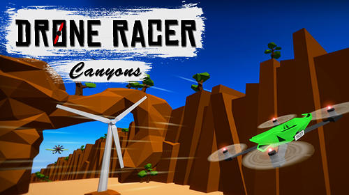 Download Drone racer: Canyons Android free game.