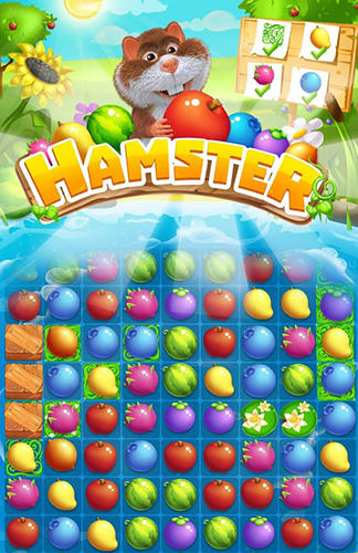 Download Hamster: Match 3 game Android free game.