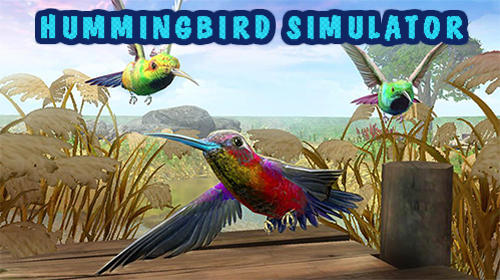 Full version of Android Animals game apk Hummingbird simulator 3D for tablet and phone.