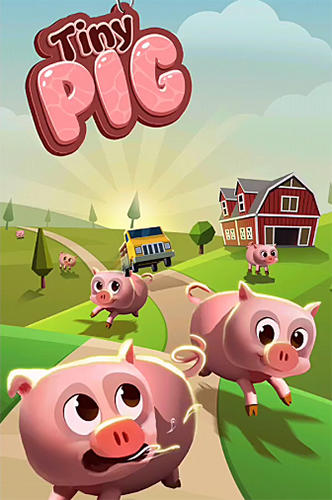 Full version of Android Time killer game apk Tiny pig for tablet and phone.