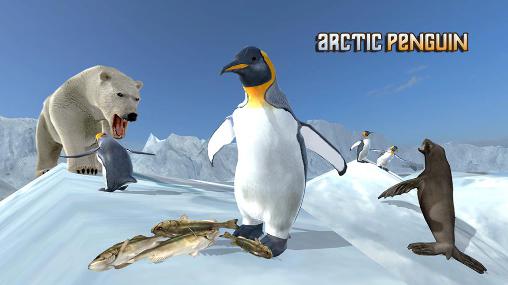 Download Arctic penguin Android free game.