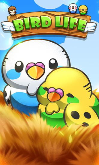 Full version of Android Match 3 game apk Bird life for tablet and phone.