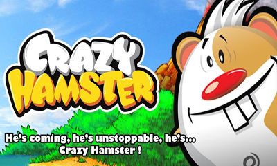 Download Crazy Hamster Android free game.