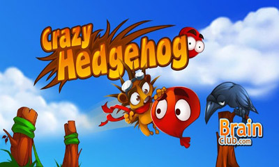 Download Crazy Hedgehog Android free game.