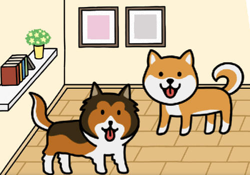 Full version of Android apk app Dog game: Cute puppy collector for tablet and phone.