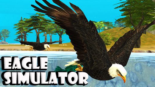 Download Eagle simulator Android free game.
