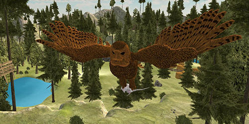 Full version of Android apk app Flying owl simulator 3D for tablet and phone.