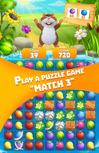 Full version of Android apk app Hamster: Match 3 game for tablet and phone.