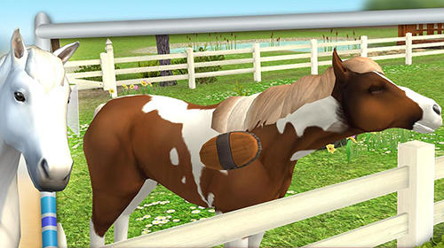 Full version of Android apk app Horse world: Show jumping for tablet and phone.