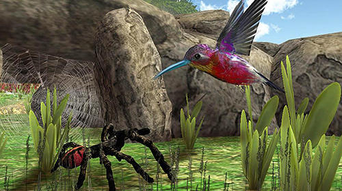 Full version of Android apk app Hummingbird simulator 3D for tablet and phone.