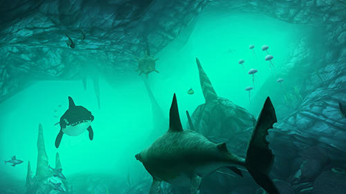 Full version of Android apk app Hungry shark VR for tablet and phone.