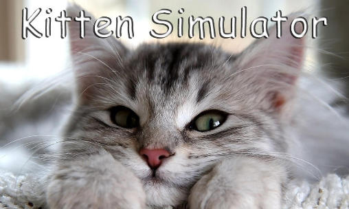 Download Kitten simulator Android free game.