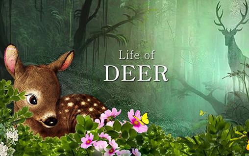 Full version of Android Animals game apk Life of deer for tablet and phone.