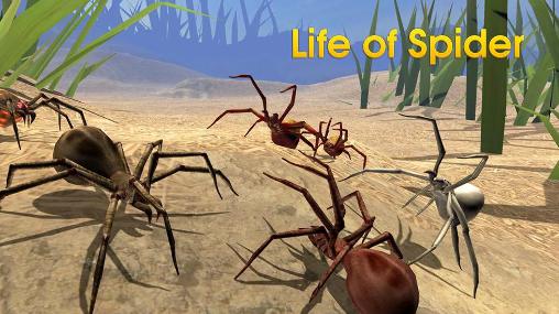 Full version of Android Animals game apk Life of spider for tablet and phone.