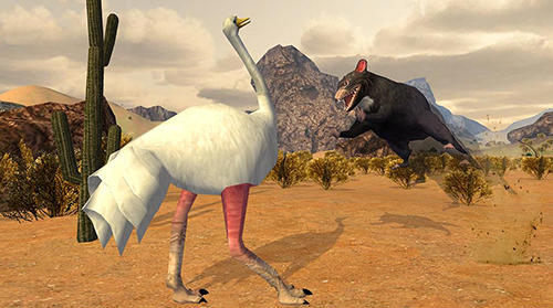 Full version of Android apk app Ostrich bird simulator 3D for tablet and phone.
