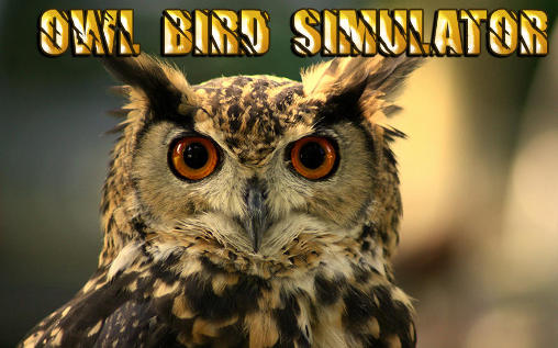 Download Owl bird simulator Android free game.