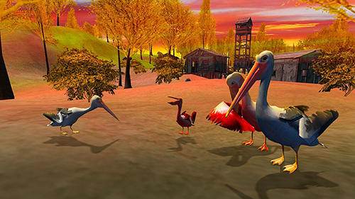 Full version of Android apk app Pelican bird simulator 3D for tablet and phone.