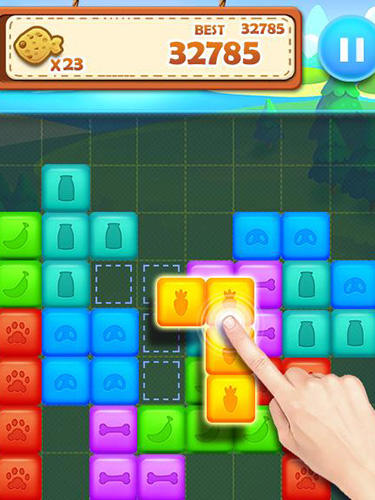 Full version of Android apk app Pet block puzzle: Puzzle mania for tablet and phone.