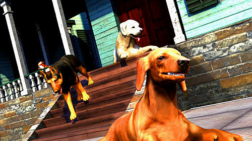 Full version of Android apk app Pet dog games: Pet your dog now in Dog simulator! for tablet and phone.