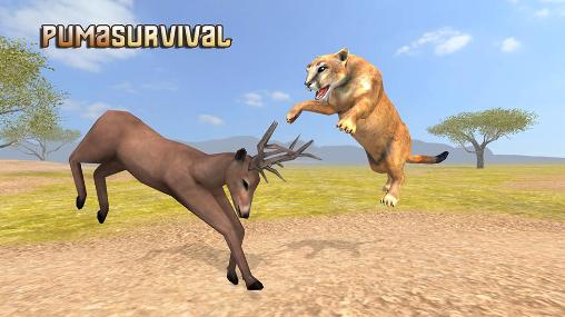 Download Puma survival: Simulator Android free game.