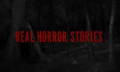 Full version of Android Adventure game apk Real Horror Stories for tablet and phone.