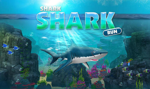 Download Shark shark run Android free game.