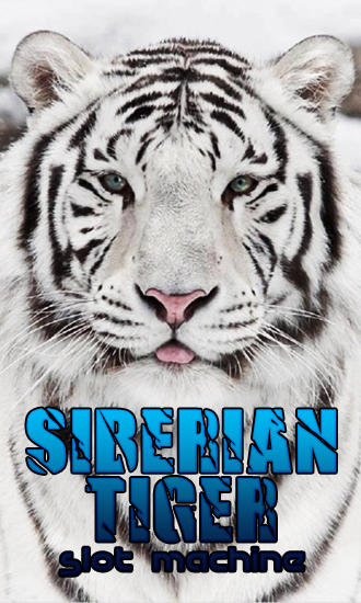 Download Siberian tiger: Slot machine Android free game.