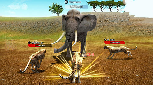 Full version of Android apk app The cheetah: Online simulator for tablet and phone.