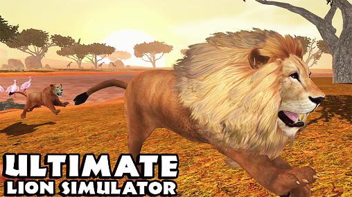 Download Ultimate lion simulator Android free game.