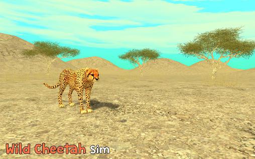 Download Wild cheetah sim 3D Android free game.