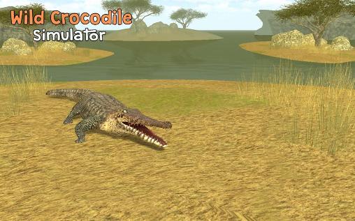 Download Wild crocodile simulator 3D Android free game.