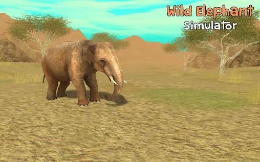 Download Wild elephant simulator 3D Android free game.