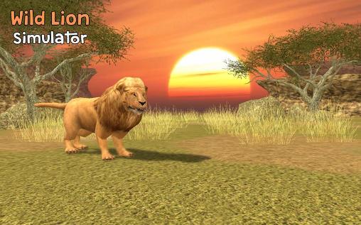 Download Wild lion simulator 3D Android free game.