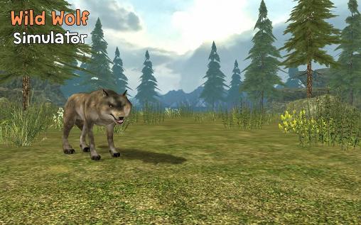 Download Wild wolf simulator 3D Android free game.