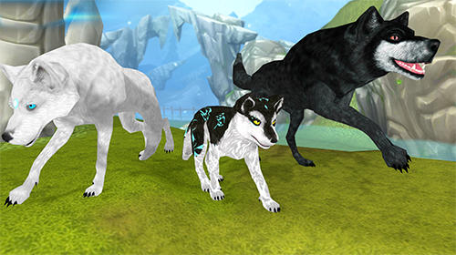 Full version of Android apk app Wolf: The evolution. Online RPG for tablet and phone.