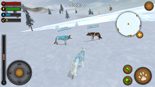 Full version of Android apk app Wolf world multiplayer for tablet and phone.