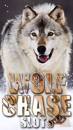 Download Wolf chase slots Android free game.