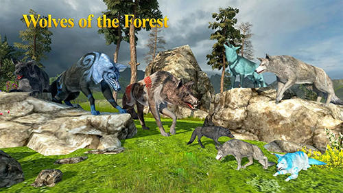 Full version of Android Animals game apk Wolves of the forest for tablet and phone.