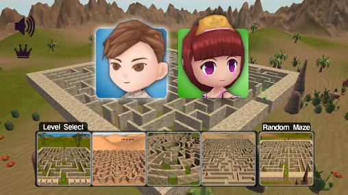 Full version of Android apk app 3D maze for tablet and phone.