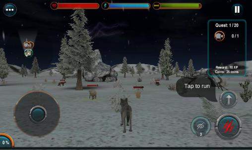 Full version of Android apk app Angry wolf simulator 3D for tablet and phone.