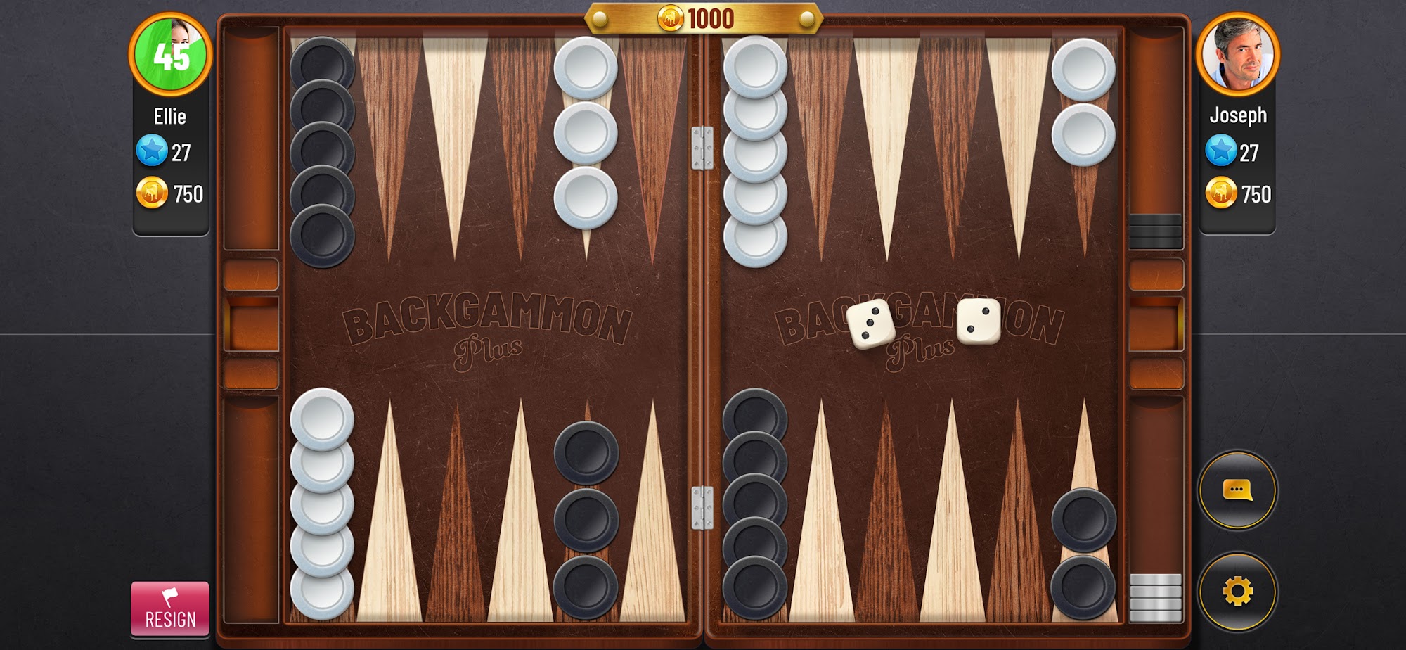 Gameplay of the Backgammon Plus - Board Game for Android phone or tablet.