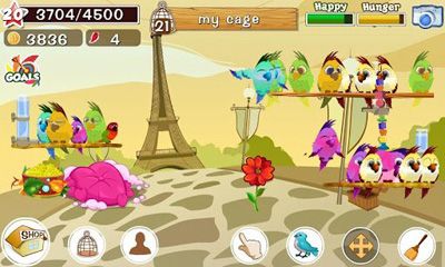 Full version of Android apk app Bird Land for tablet and phone.