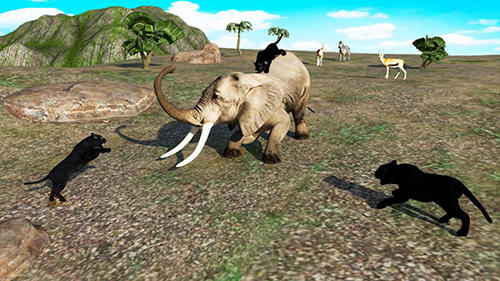Gameplay of the Black panther simulator 2018 for Android phone or tablet.
