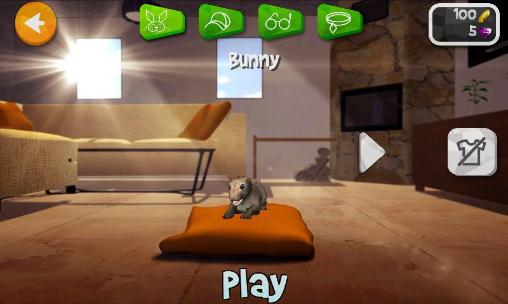 Full version of Android apk app Bunny simulator for tablet and phone.
