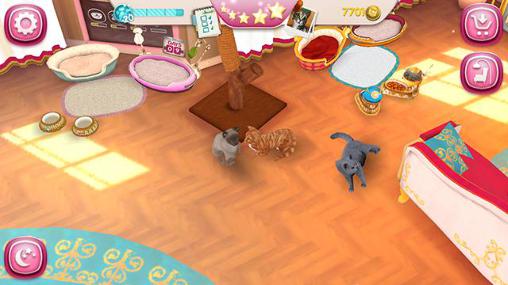 Full version of Android apk app Cat hotel: Hotel for cute cats for tablet and phone.