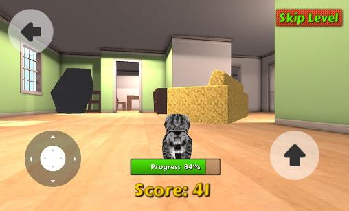 Full version of Android apk app Cat simulator for tablet and phone.