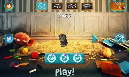Full version of Android apk app Cat simulator 2015 for tablet and phone.