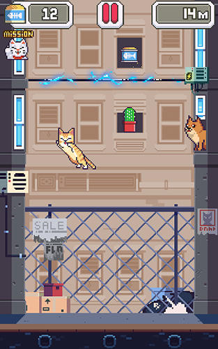 Gameplay of the Cats jump! for Android phone or tablet.