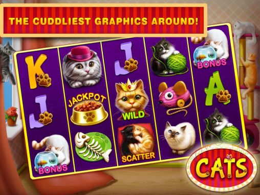 Full version of Android apk app Cats slots: Casino vegas for tablet and phone.