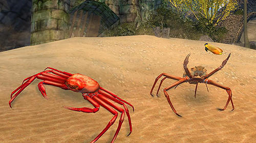 Gameplay of the Crab simulator 3D for Android phone or tablet.